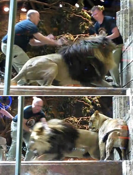 世界十大微信职业盘点