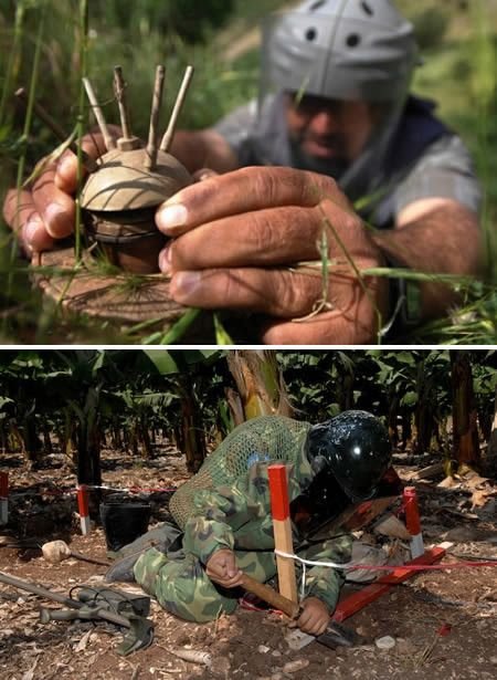 世界十大微信职业盘点